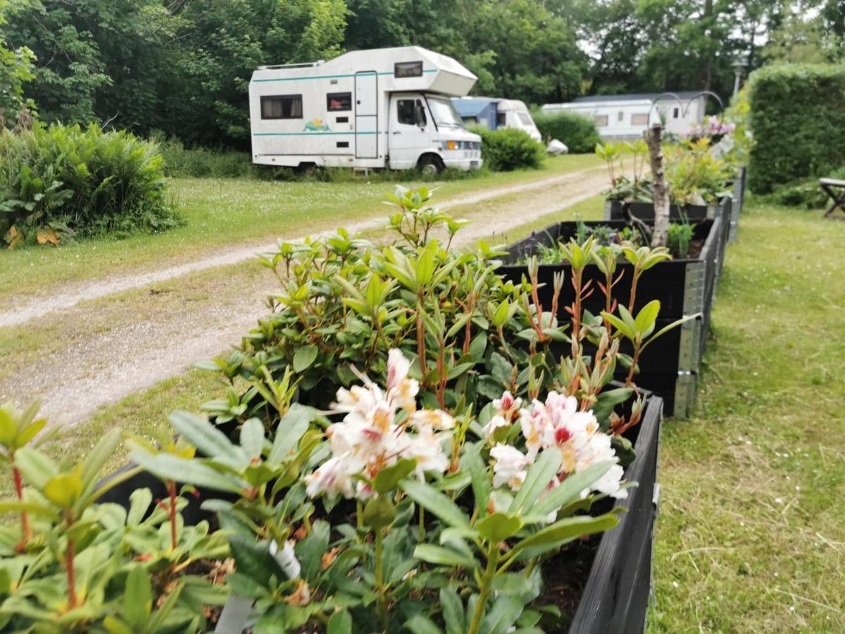 Frederiksvaerk Camping & Hostel Kültér fotó