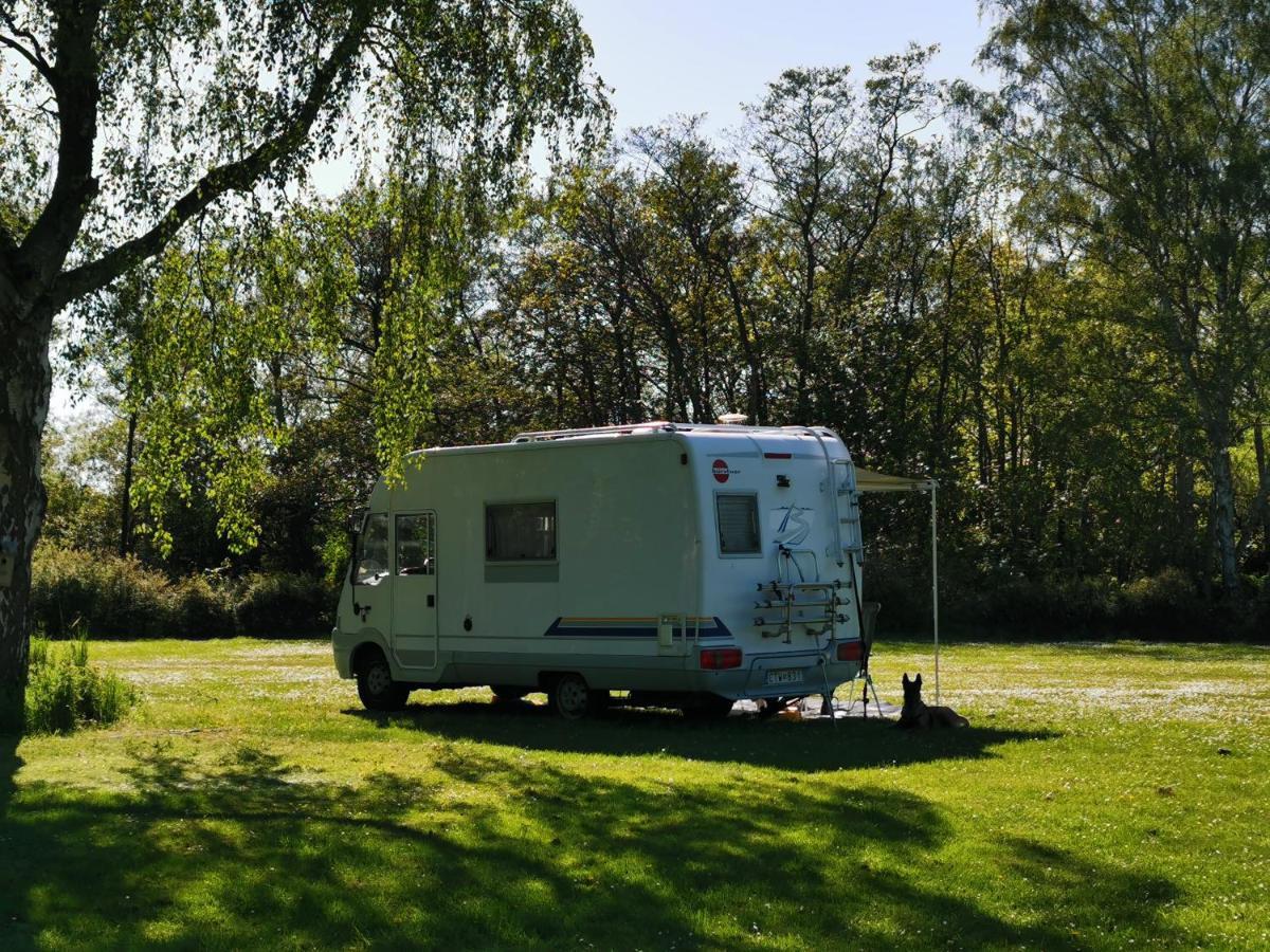 Frederiksvaerk Camping & Hostel Kültér fotó