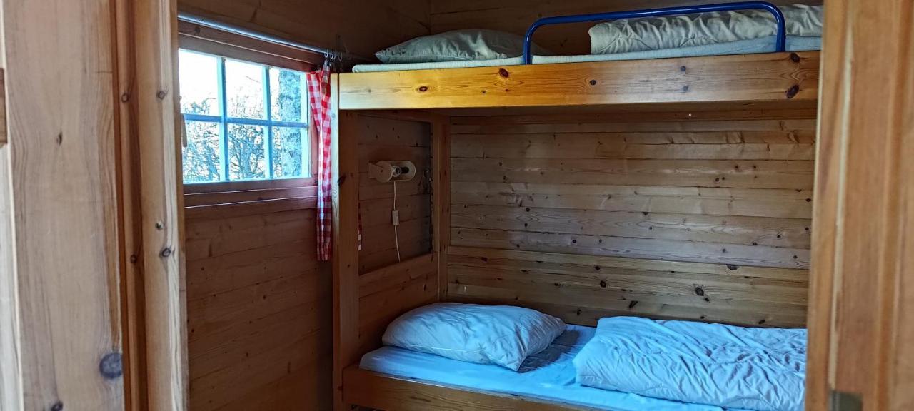 Frederiksvaerk Camping & Hostel Kültér fotó