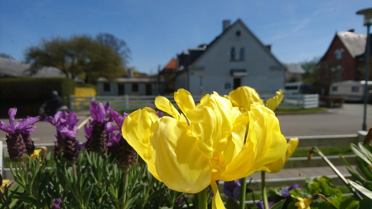 Frederiksvaerk Camping & Hostel Kültér fotó